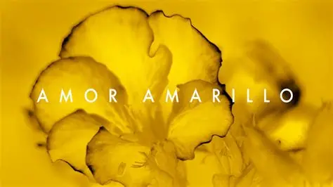 Portada de Amor Amarillo